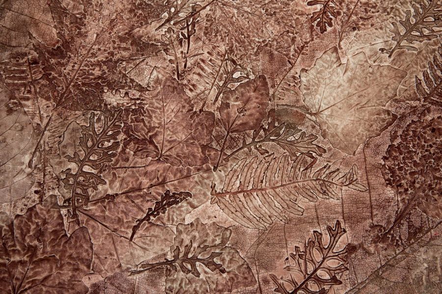 Stamped concrete surface with leaf patterns in brown and tan tones